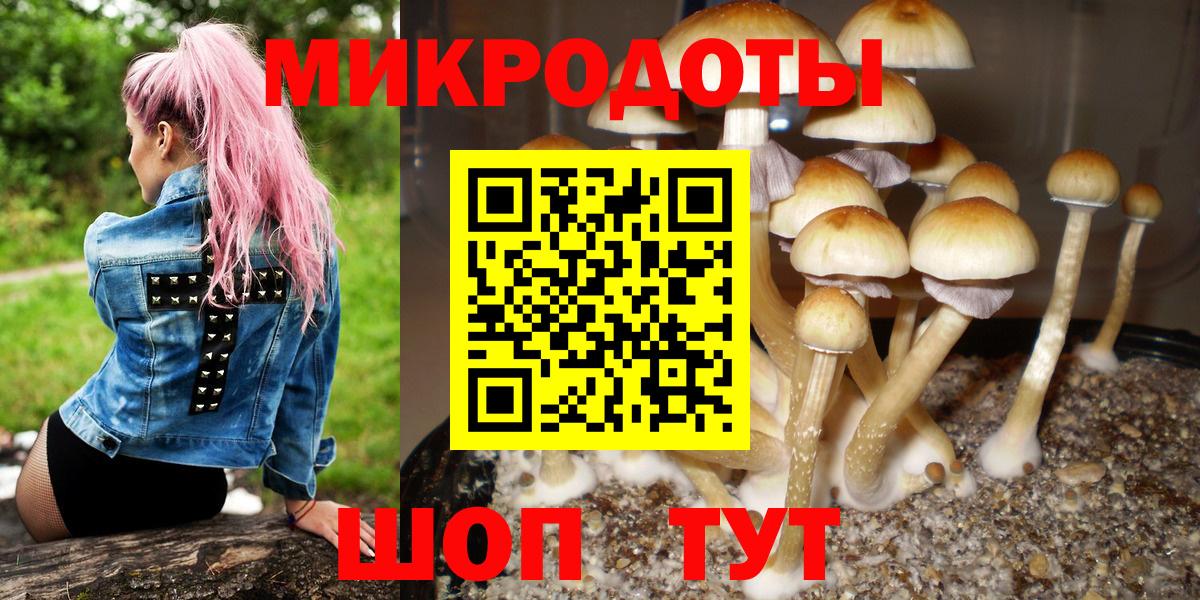 Псилоцибиновые грибы мицелий Кемерово
