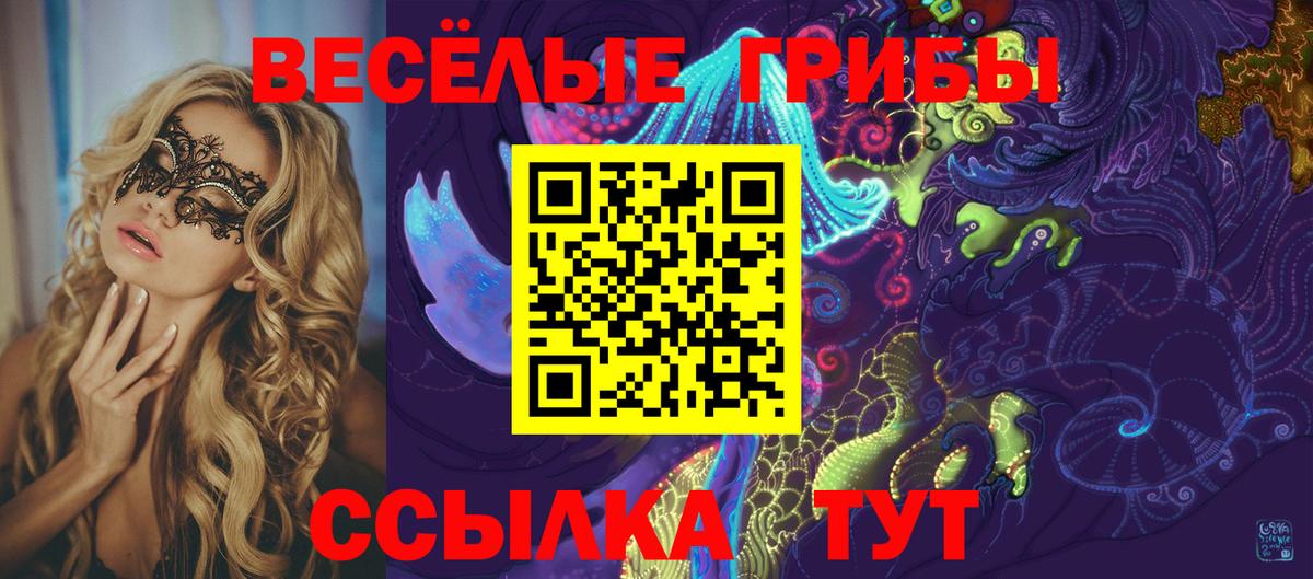 Кемерово  Галлюциногенные грибы Psilocybine cubensis  Вход с VPN 
